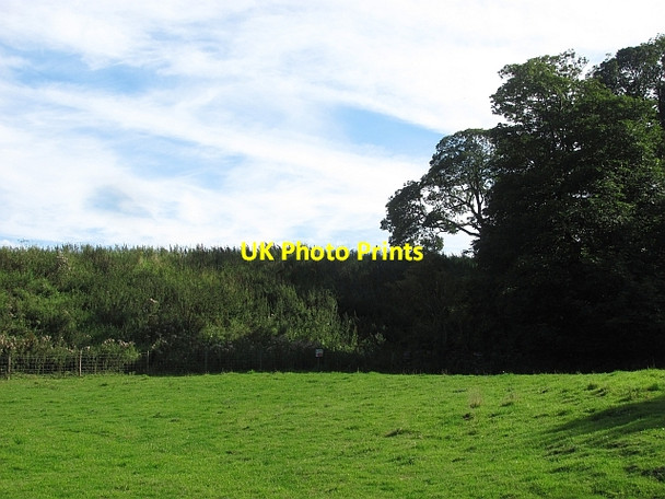 Photo 6"x4" Howick Quarry berm Littlehoughton c2011