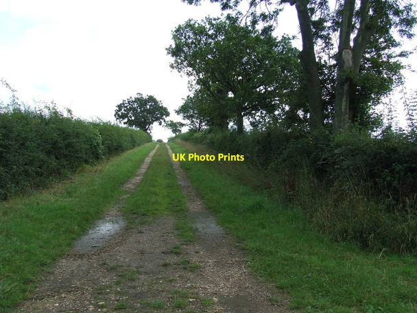 Photo 6"x4" Farm Track Hightown Green c2011