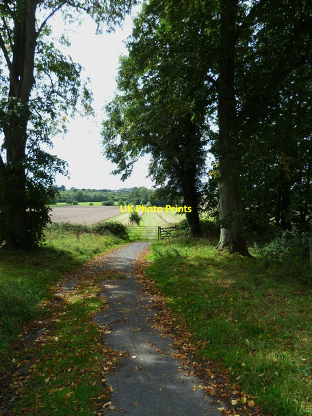 Photo 6"x4" Long straight bridleway to Holdhurst Farm Cranleigh c2011