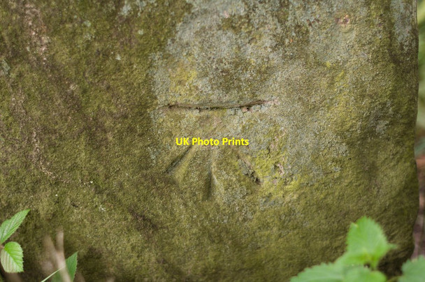Photo 6"x4" Cut Bench Mark, Busky Dike Lane Fewston c2011