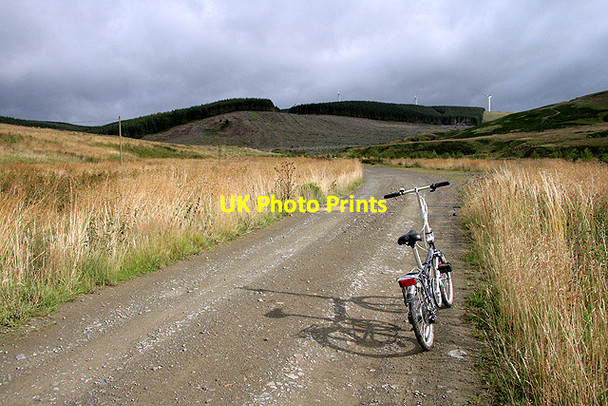 Photo 6"x4" The road to Arresgill Farm New Langholm c2011