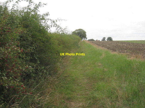 Photo 6"x4" Bridleway to Swinderby Road Swinderby c2011
