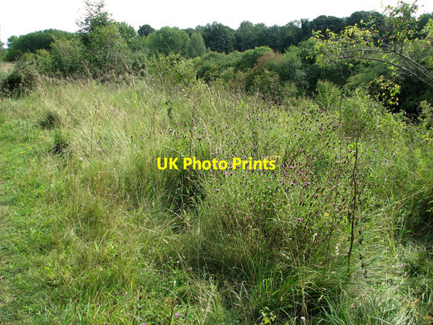 Photo 6"x4" Walk along disused railway trackbed, Narborough Narborough\/TF7412 c2011