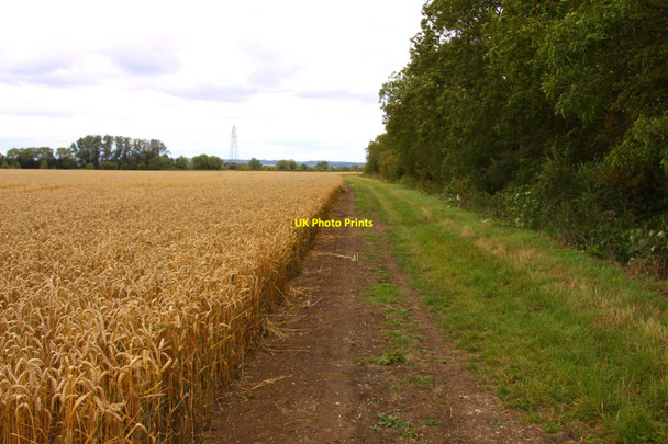 Photo 6"x4" Bridleway to Marcham Drayton\/SU4794 c2011