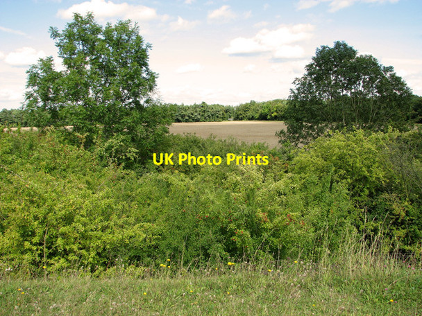 Photo 6"x4" Cultivated fields beside railway embankment, Narborough Narborough\/TF7412 c2011