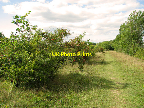 Photo 6"x4" Railway walk, Narborough Narborough\/TF7412 c2011