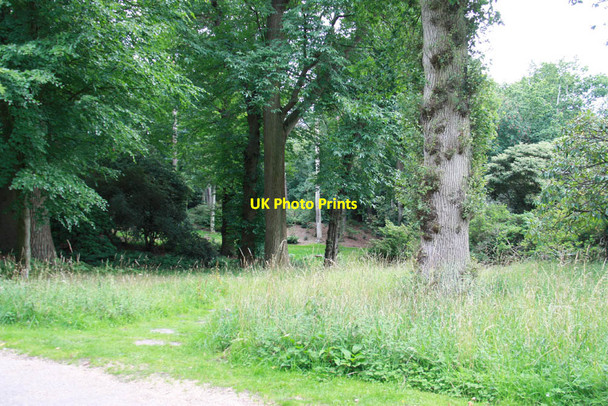 Photo 6"x4" Sheringham Park Sheringham c2011 P1