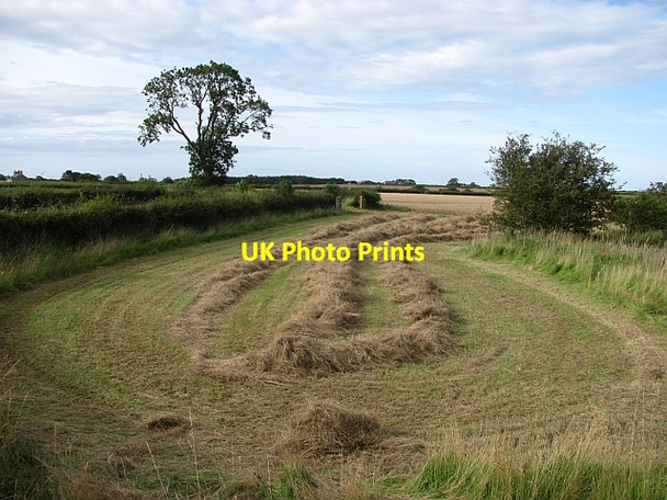 Photo 6"x4" Hay making Swinhoe c2011