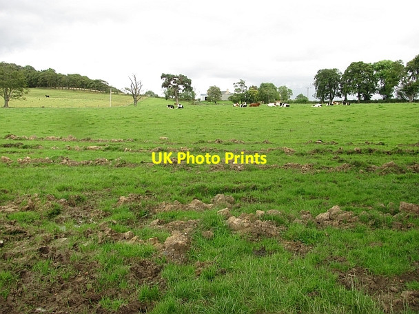 Photo 6"x4" Field, Wester Woodside Torphichen c2011