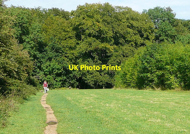 Photo 6"x4" Path towards Blackhouse Wood Dunsden Green c2011