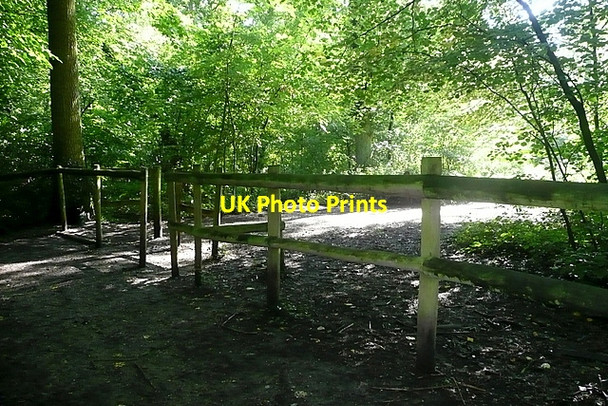 Photo 6"x4" Path in Blackhouse Wood Dunsden Green c2011