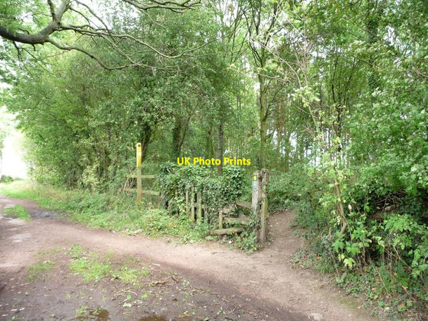 Photo 6"x4" Footpath to the golf course leaving Barnbow Lane Pendas Fields c2011