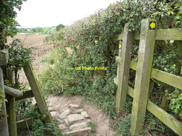 Photo 6"x4" Waymarked gap in the hedge, the Leeds Country Way Barnbow Carr c2011