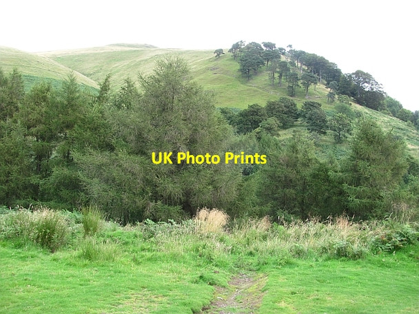 Photo 6"x4" Wood Hill Alva c2011