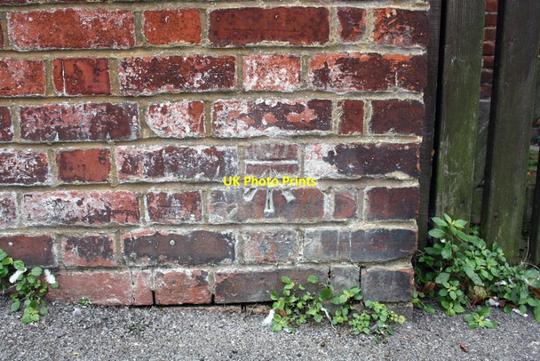 Photo 6"x4" Benchmark on wall at NW end of Cholmeley Road Reading c2011