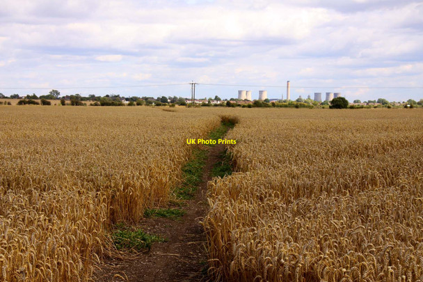Photo 6"x4" Bridleway through the wheatfield Drayton\/SU4794 c2011