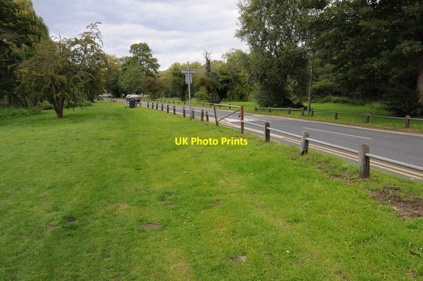 Photo 6"x4" Thames Side Chertsey c2011