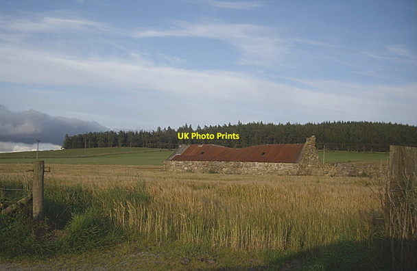 Photo 6"x4" Ruined croft Comers c2011