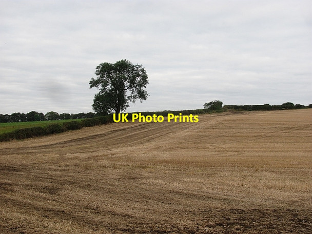 Photo 6"x4" Stubble, Bonnytoun Linlithgow c2011
