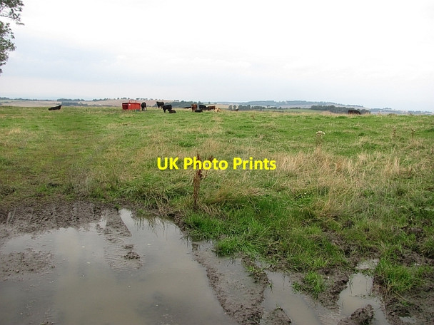 Photo 6"x4" Cattle, Ochiltree Bridgend\/NT0475 c2011