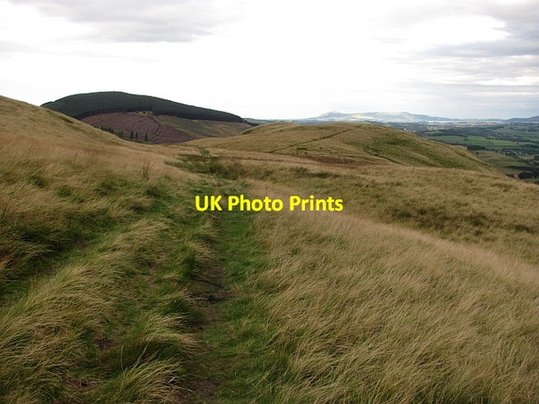 Photo 6"x4" Bank Hill Dollar c2011