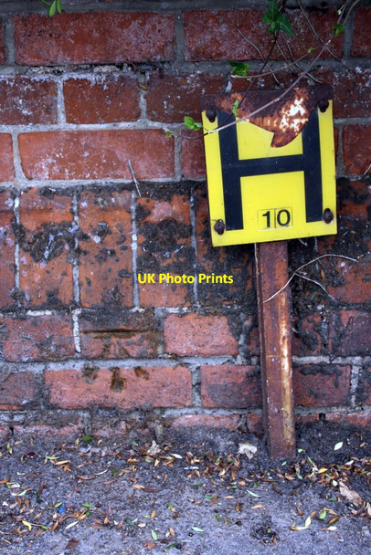 Photo 6"x4" Benchmark on wall at junction of Wokingham Road and Crescent Road Reading c2011