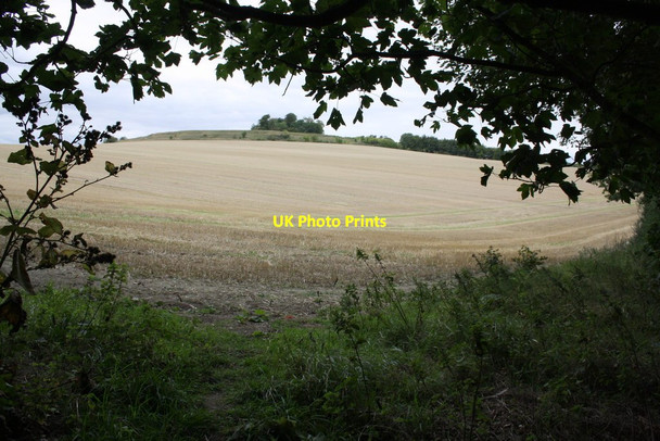 Photo 6"x4" Junction of footpaths at field edge Bridge End\/SU5793 c2011