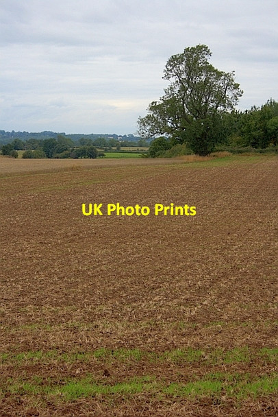 Photo 6"x4" Stubble Field Azerley c2011