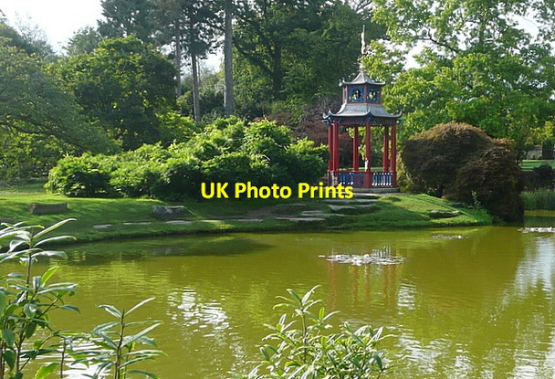 Photo 6"x4" Cliveden, water garden Widmoor c2011