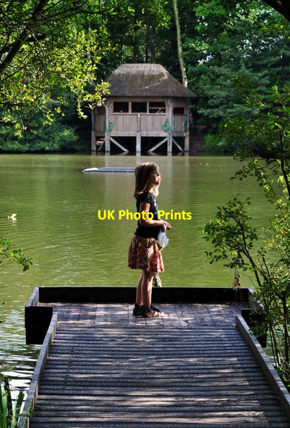 Photo 6"x4" Bird Hide Fradley Junction c2011