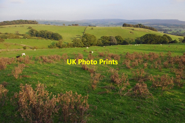 Photo 6"x4" Farmland near Halton Green Halton Green\/SD5165 c2011