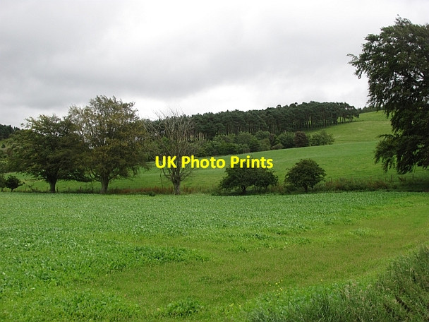 Photo 6"x4" Farmland, Unthank Coulter c2011