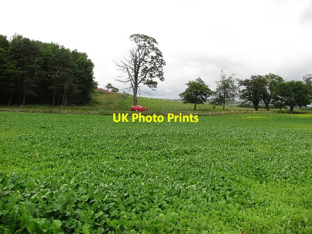 Photo 6"x4" A702 south of Coulter Coulter c2011