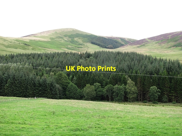 Photo 6"x4" Field, Baitlaws Lamington\/NS9731 c2011