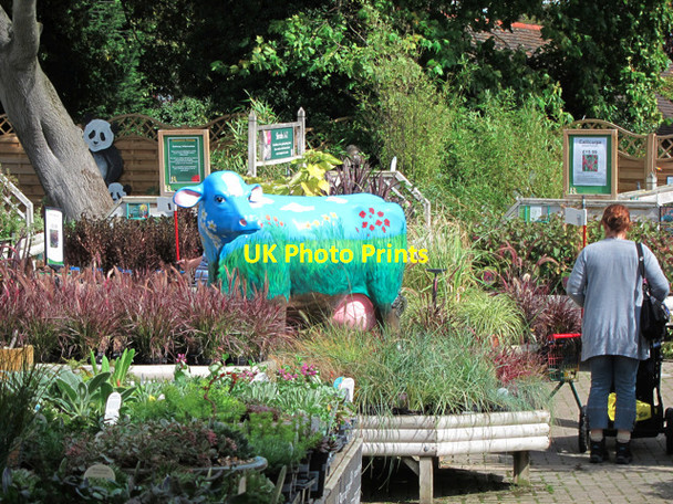 Photo 6"x4" Cow at Ruxley Manor Garden Centre Ruxley c2011