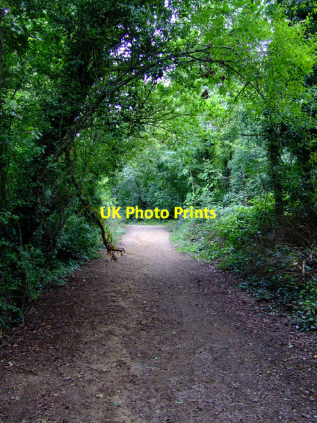 Photo 6"x4" Path in Elthorne Park Brentford c2011