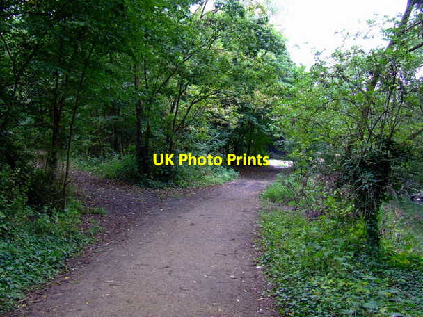 Photo 6"x4" Path in Elthorne Park Brentford c2011