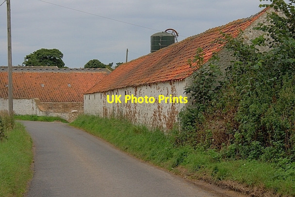 Photo 6"x4" Minor Road at Friar's Hurst North Stainley\/SE2876 c2011