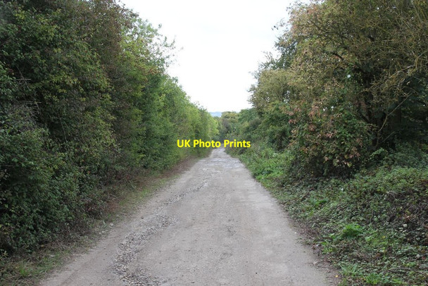 Photo 6"x4" Byway to the bad section Moulsford c2011