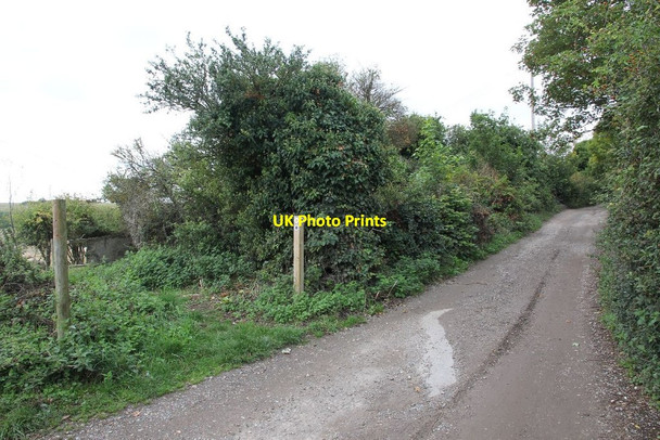Photo 6"x4" Byway past the footpath Moulsford c2011