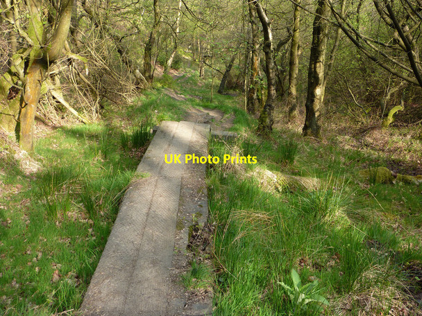 Photo 6"x4" Boardwalk on the footpath through Broadhead Clough Cragg Vale\/SE0023 c2011