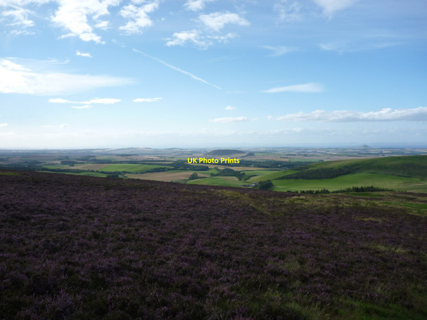 Photo 6"x4" East Lothian Landscape : Up Amongst The Heather On Deuchrie Edge Deuchrie Edge c2011