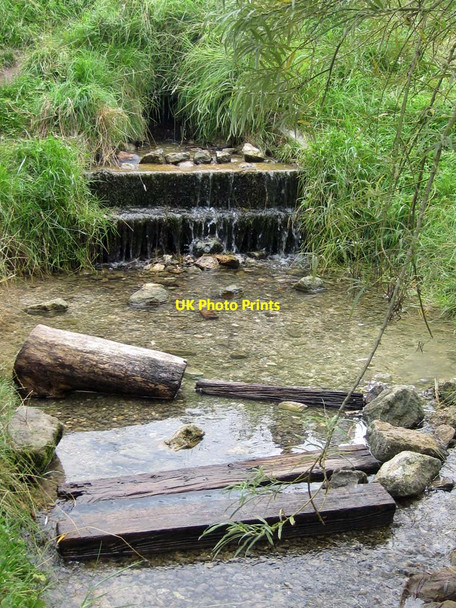 Photo 6"x4" Wharram Stream Wharram Percy c2011