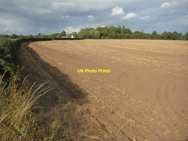 Photo 6"x4" Arable land near Birch Farm Birch Green\/SO8545 c2011
