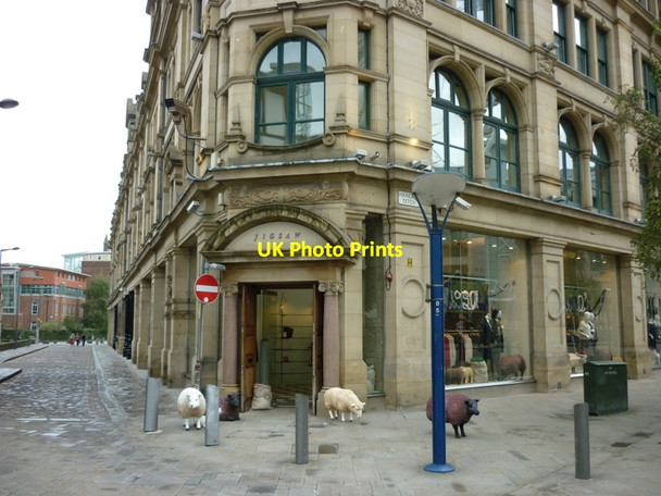 Photo 6"x4" Sheep on Cathedral Street, Manchester City Centre Manchester c2011