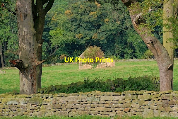 Photo 6"x4" Ruined Barn in Field Sneatonthorpe c2011