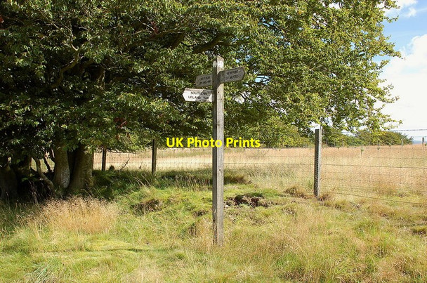 Photo 6"x4" Southern Upland Way signpost, Commonside Longformacus c2011