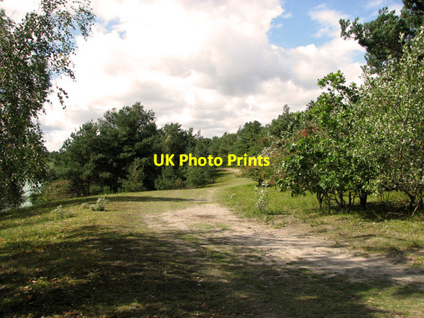 Photo 6"x4" Paths along the lake in Bawsey Country Park Leziate c2011