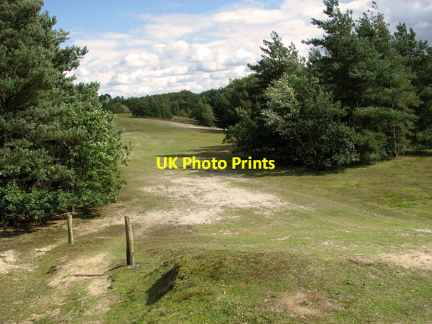 Photo 6"x4" Descent to the lake in Bawsey Country Park Leziate c2011