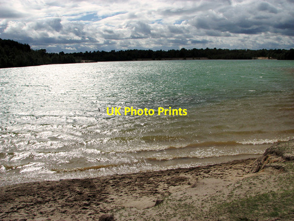 Photo 6"x4" Blustery day in Bawsey Country Park Leziate c2011